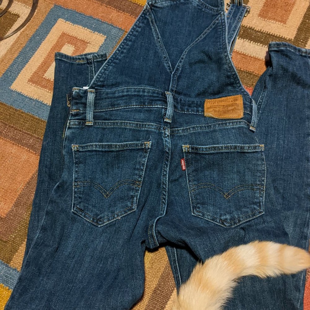 Levis size 25 skinny overalls